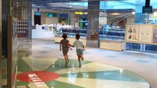 レクリエーションの日
